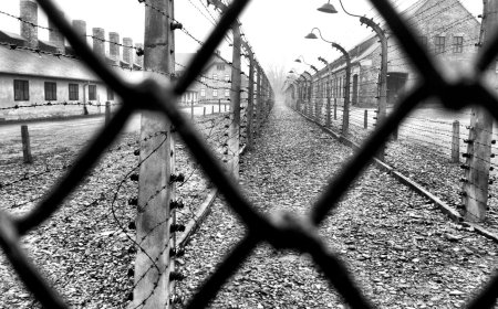 Ужас, который позже люди назовут Холокостом