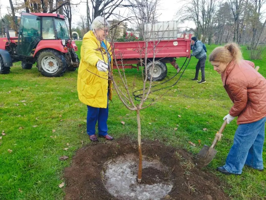 Аллея «Единство»: символ дружбы народов Приднестровья