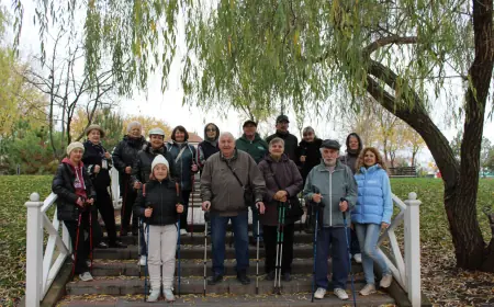 Будни проекта «Активная ходьба»