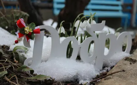 Весна в Хэсэде — время тепла, традиций и единства