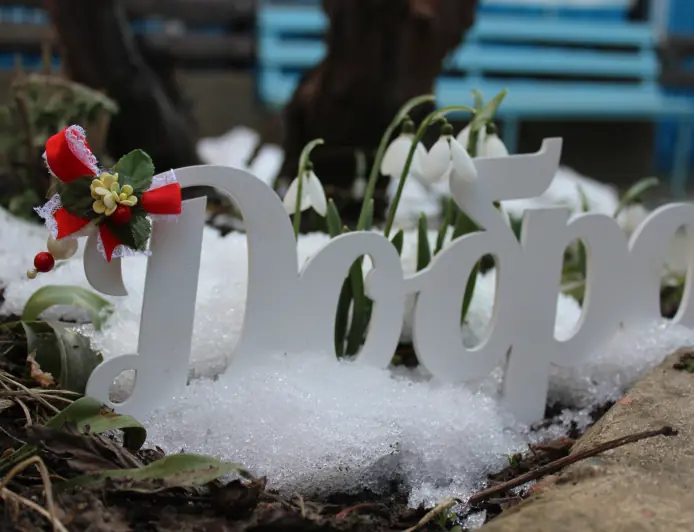 Весна в Хэсэде — время тепла, традиций и единства