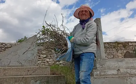 Добрые дела, которые объединяют сердца